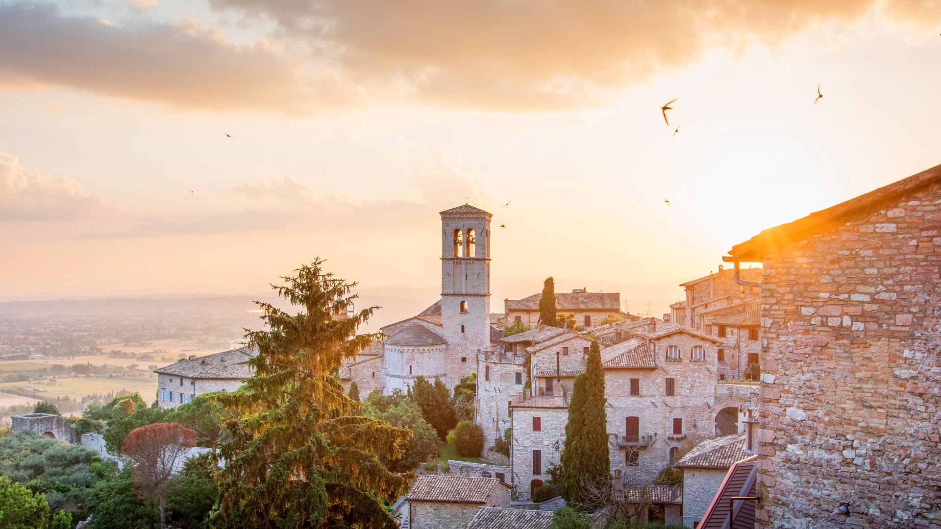 Milan - Padua - Venice - Florence - Assisi - Rome | Cammino – The Pilgrim Tour of Italy | 11-Day Divino Tour