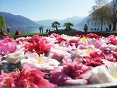 Michelangelo International Travel | Leading DMC for Italy & the Mediterranean