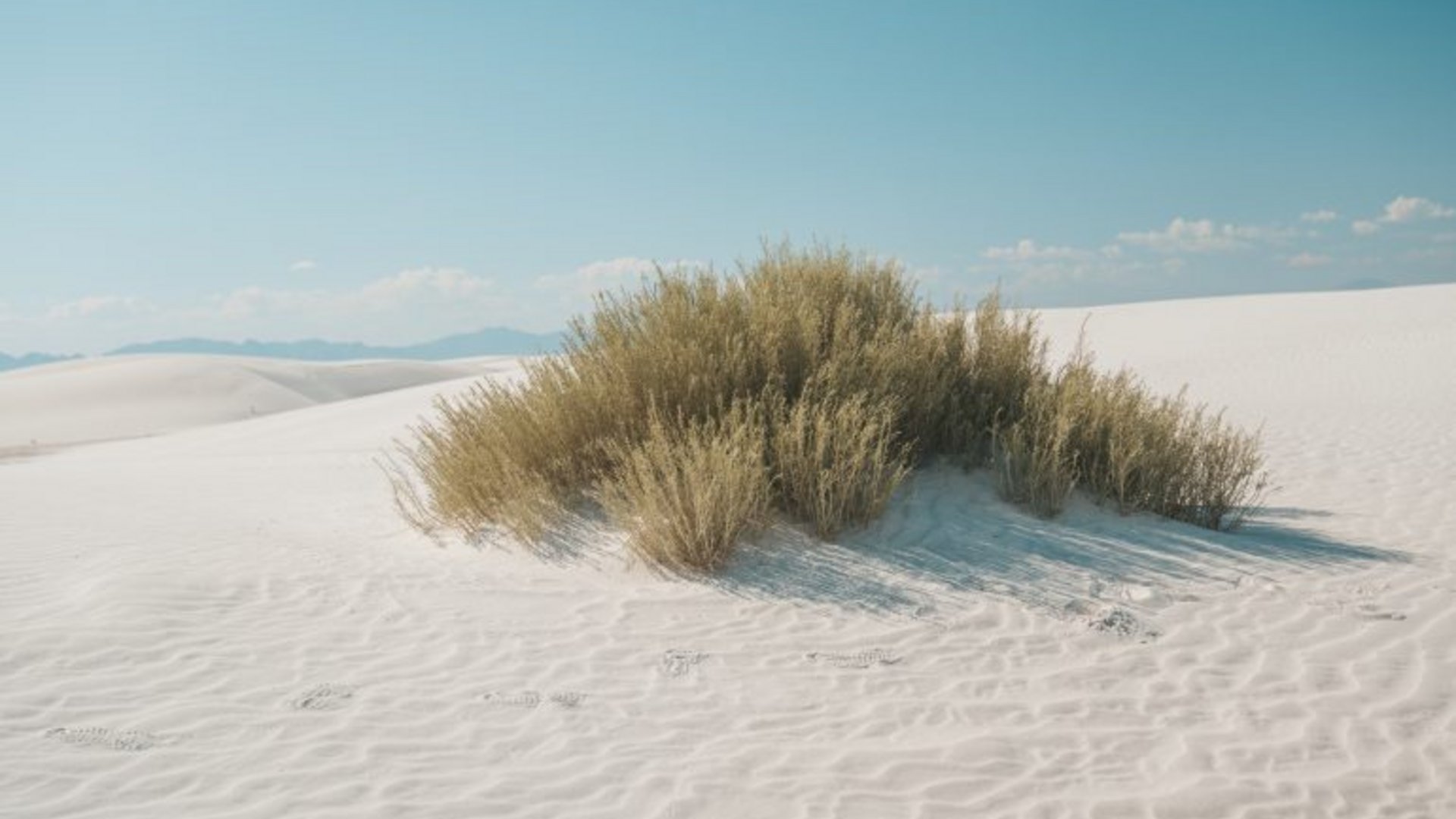 Sardegna - L'Asinara e la Sardegna selvaggia Sardegna - L'Asinara e la Sardegna selvaggia
