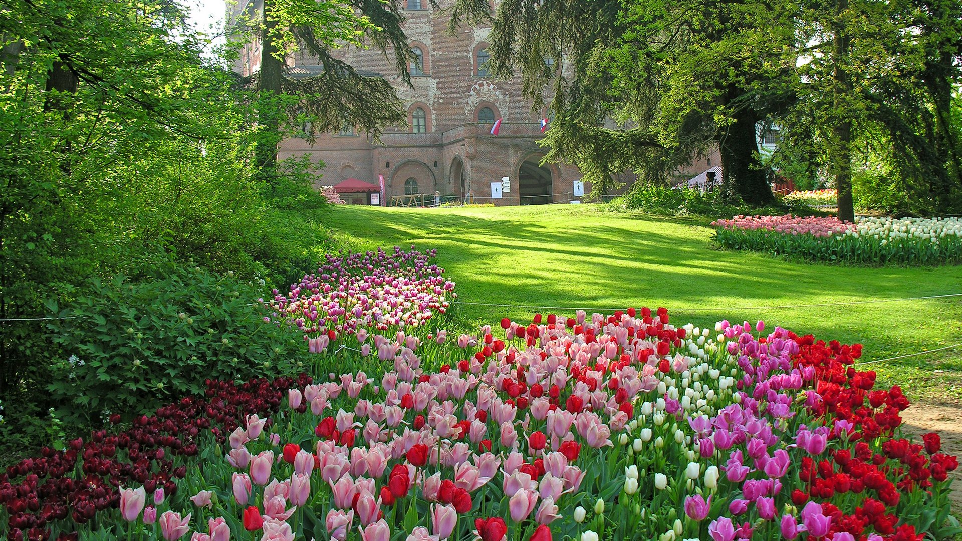 Piemonte e Valle d'Aosta - Pralormo, tulipani in fiore
