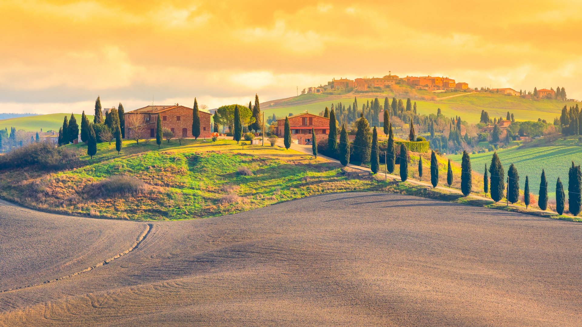 Toscana - Val di Chiana e Crete Senesi: Toscana Gourmet Toscana - Val di Chiana e Crete Senesi: Toscana Gourmet