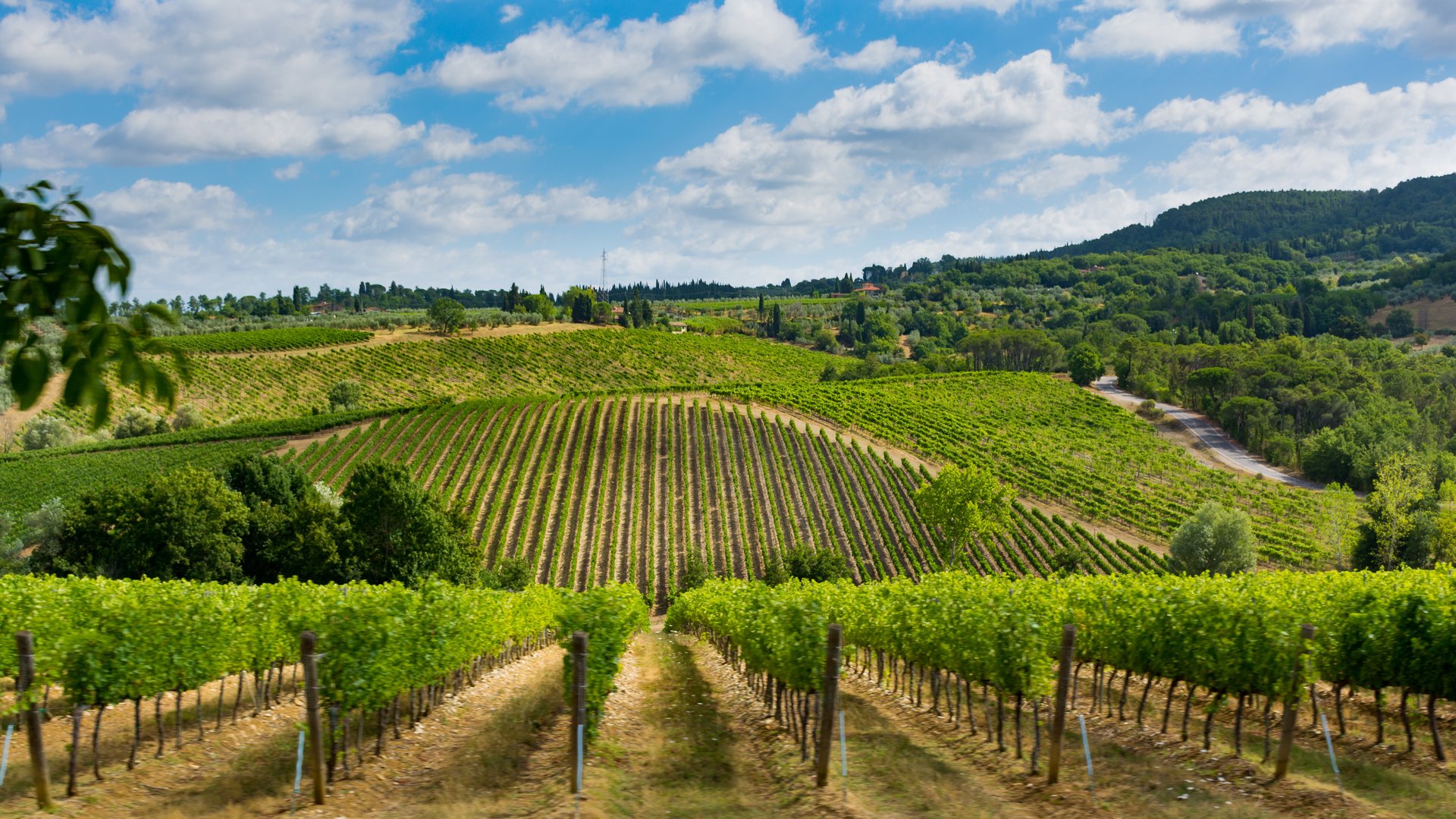 Tuscany & Beyond: A Journey Through Iconic Landscapes, History, and Flavors