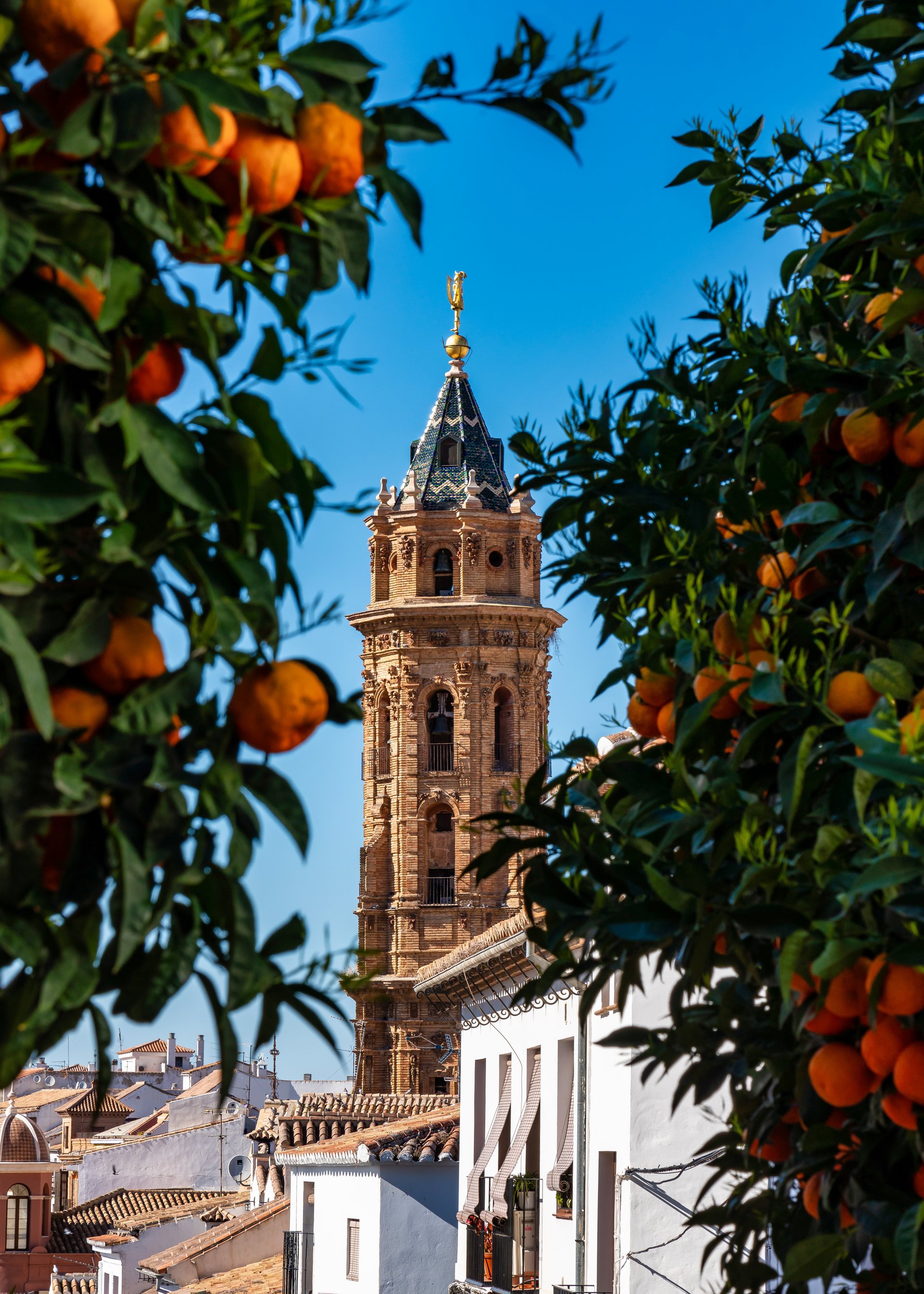 Portogallo
