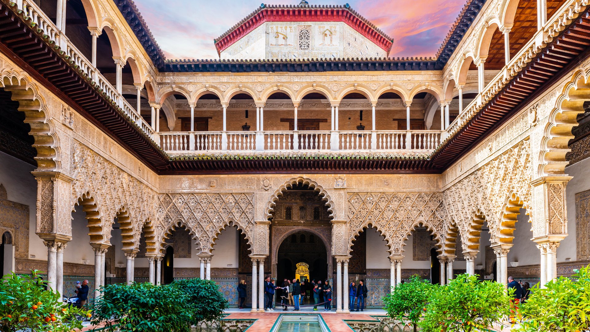 Olive Harvest Tour in Andalusia with Michelangelo International Travel Olive Harvest Tour in Andalusia with Michelangelo International Travel