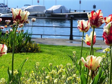 Wanderreise - Vom Lago Maggiore zum Ortasee