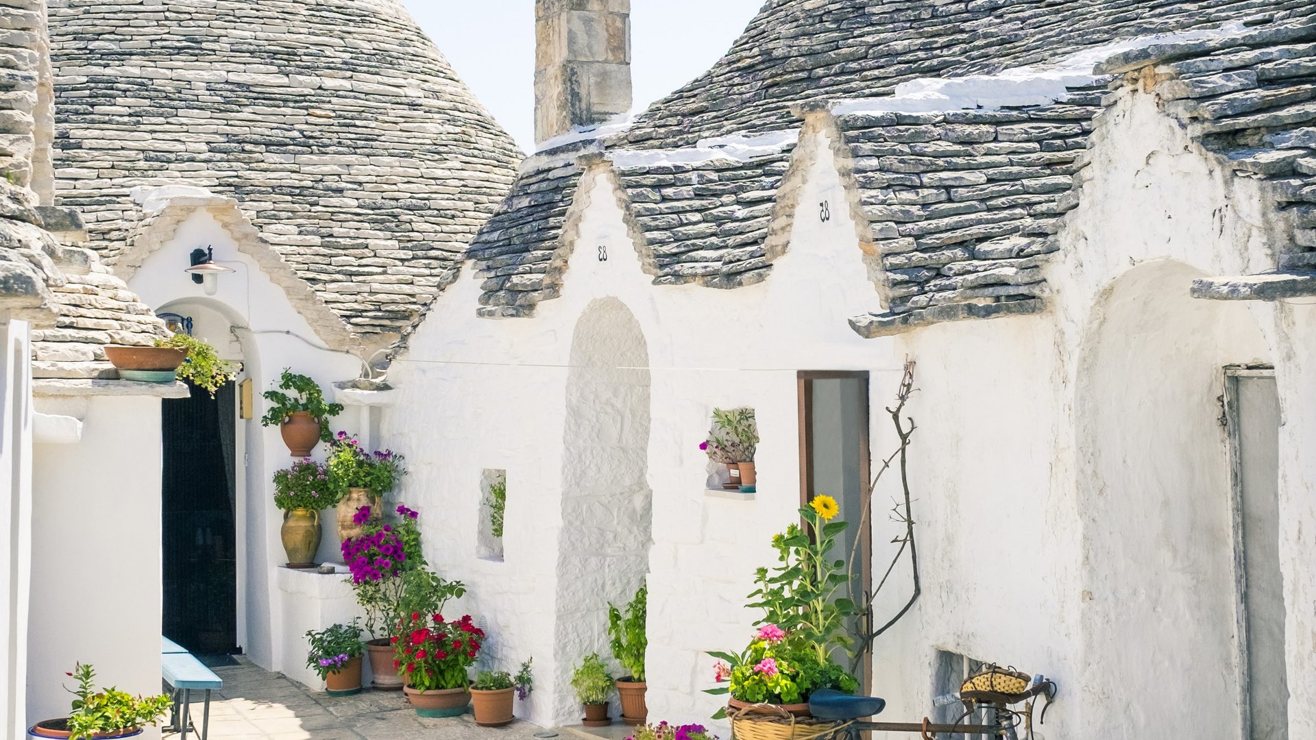 Tour - Von Küste zu Küste Tour - Von Küste zu Küste