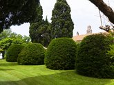 Michelangelo International Travel