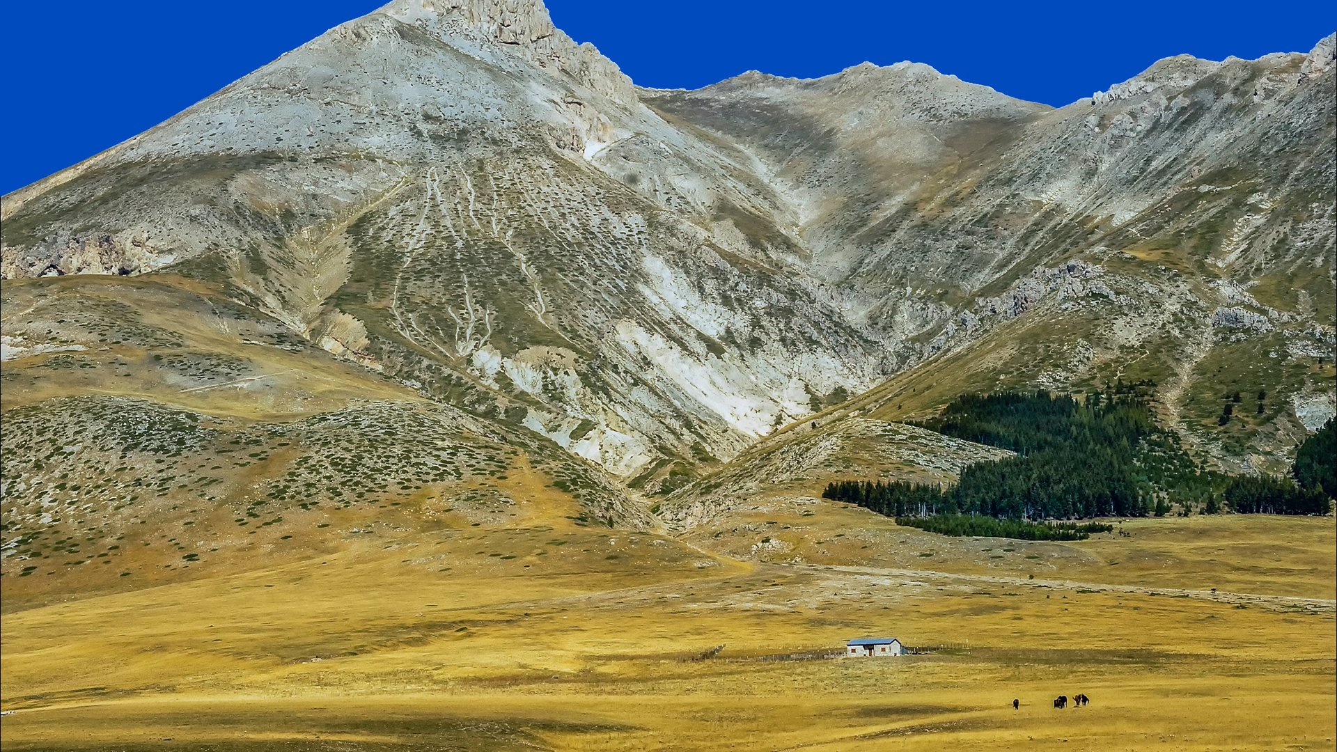 Marche, Abruzzo e Molise - Trekking sul Gran Sasso