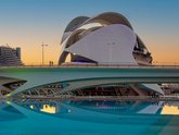 Michelangelo International Travel