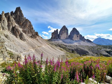 DMC Tuscany – Tailor-Made Group Tours, Florence City Breaks & Train Travel