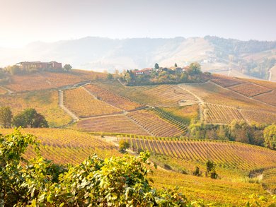 Trentino - Alto Adige