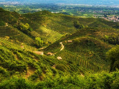 Umbria - Umbria in fiore