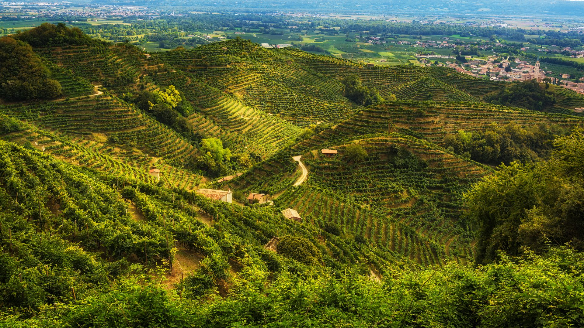 Veneto - Le colline del Prosecco Veneto - Le colline del Prosecco